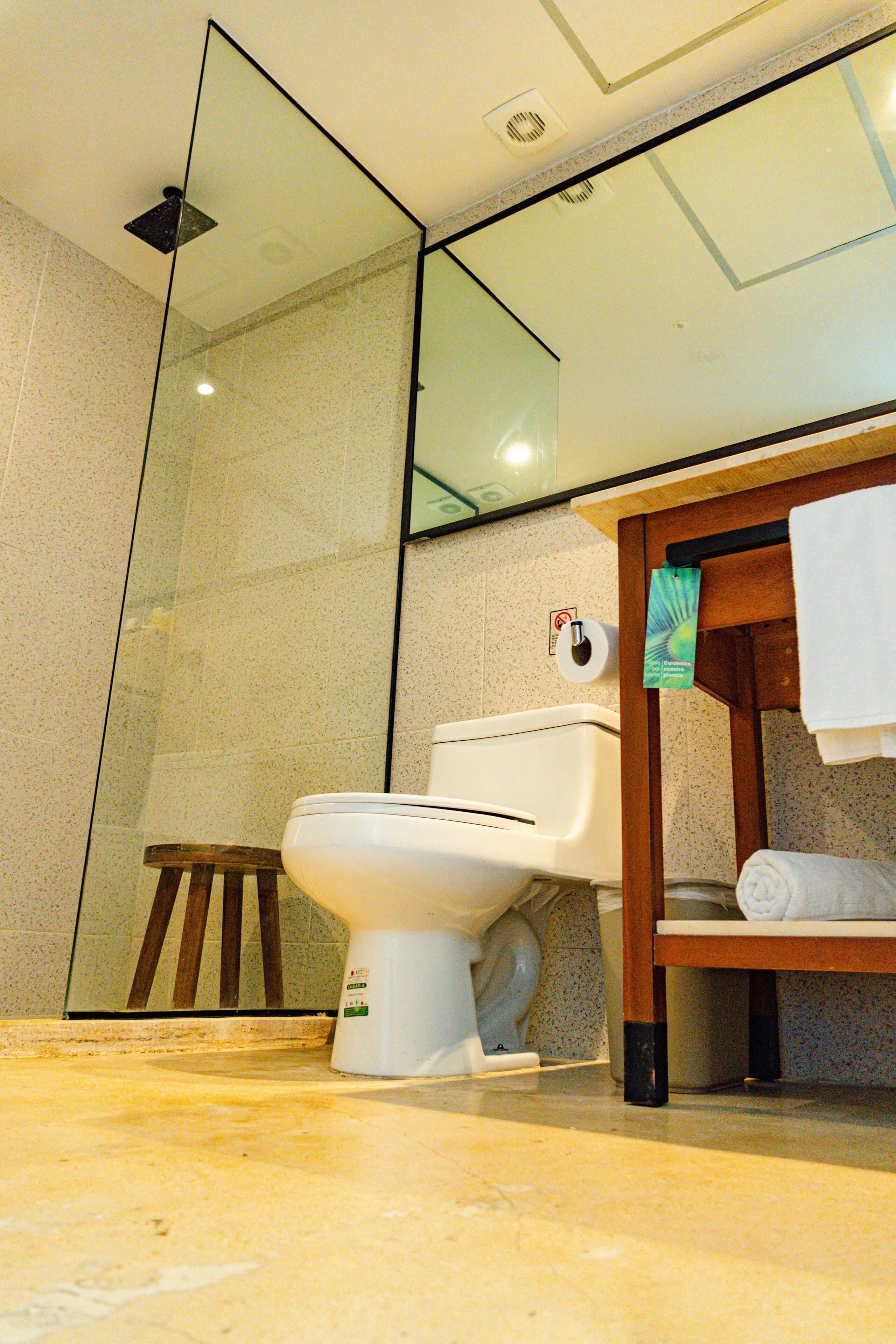 standard king | bathroom | shower, rainfall showerhead, free toiletries, hair dryer