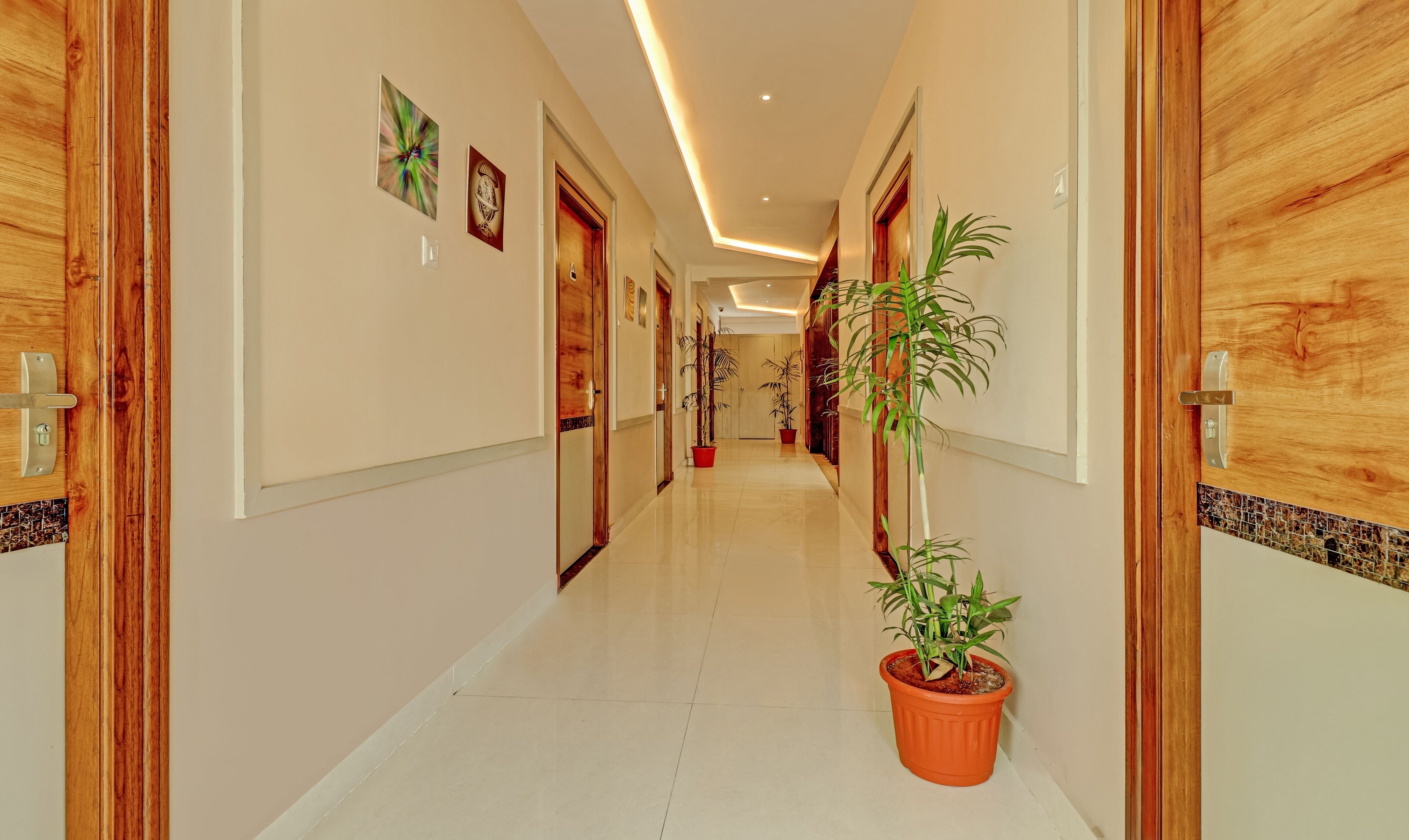 A hotel hallway with wooden doors, potted plants, and artwork on the walls.