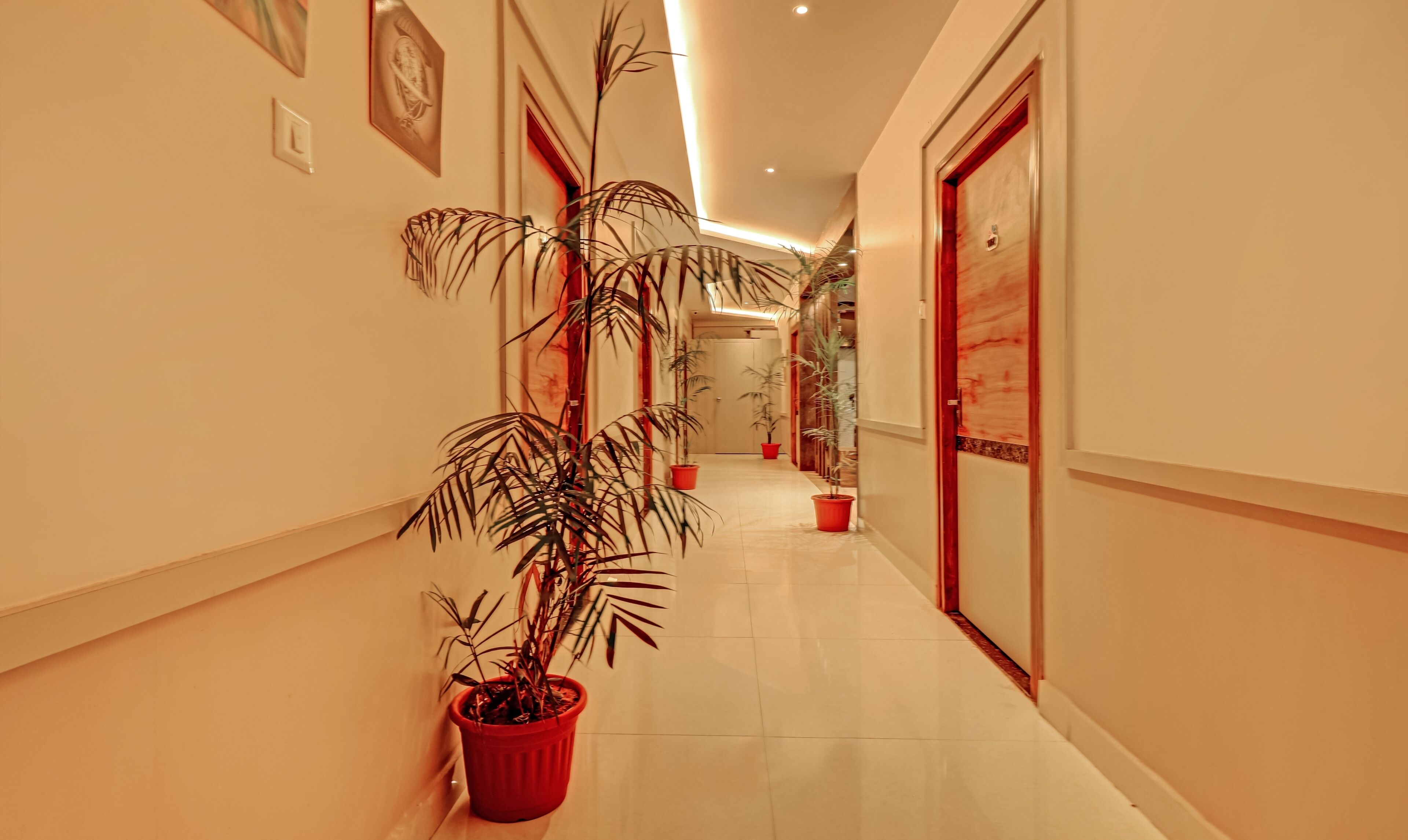 Un pasillo de hotel con plantas en macetas y puertas a ambos lados.