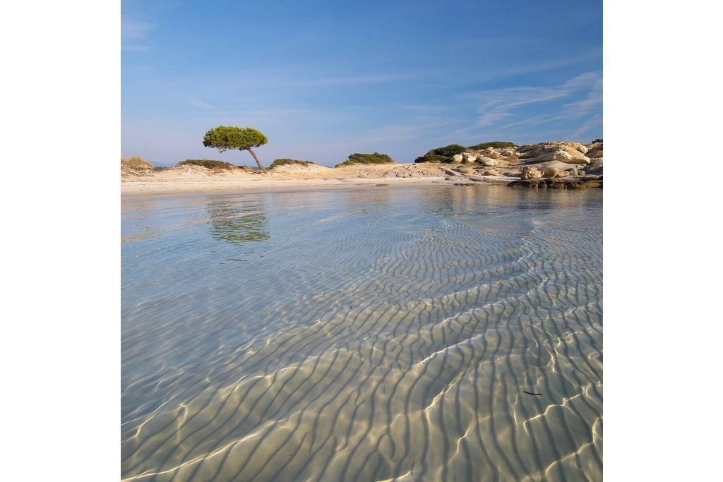 Plage à proximité, chaises longues, serviettes de plage