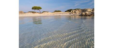 Playa en los alrededores, camastros y toallas de playa