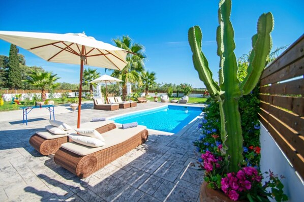 室外泳池、暖水池