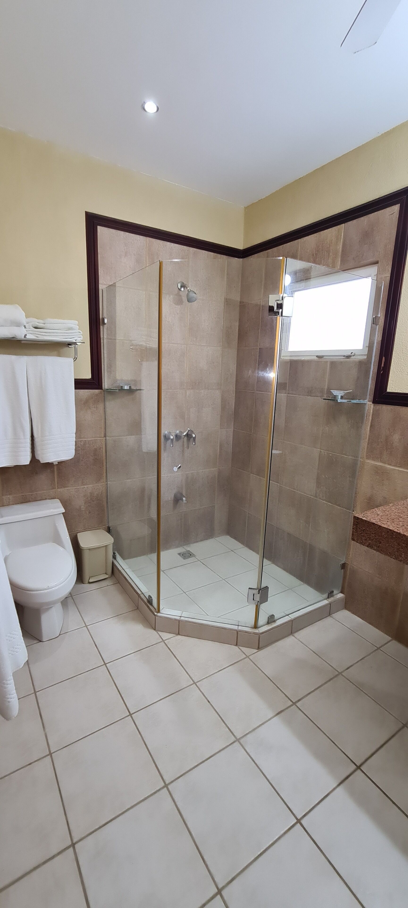 A modern bathroom with a glass-enclosed shower, a toilet, and a sink.