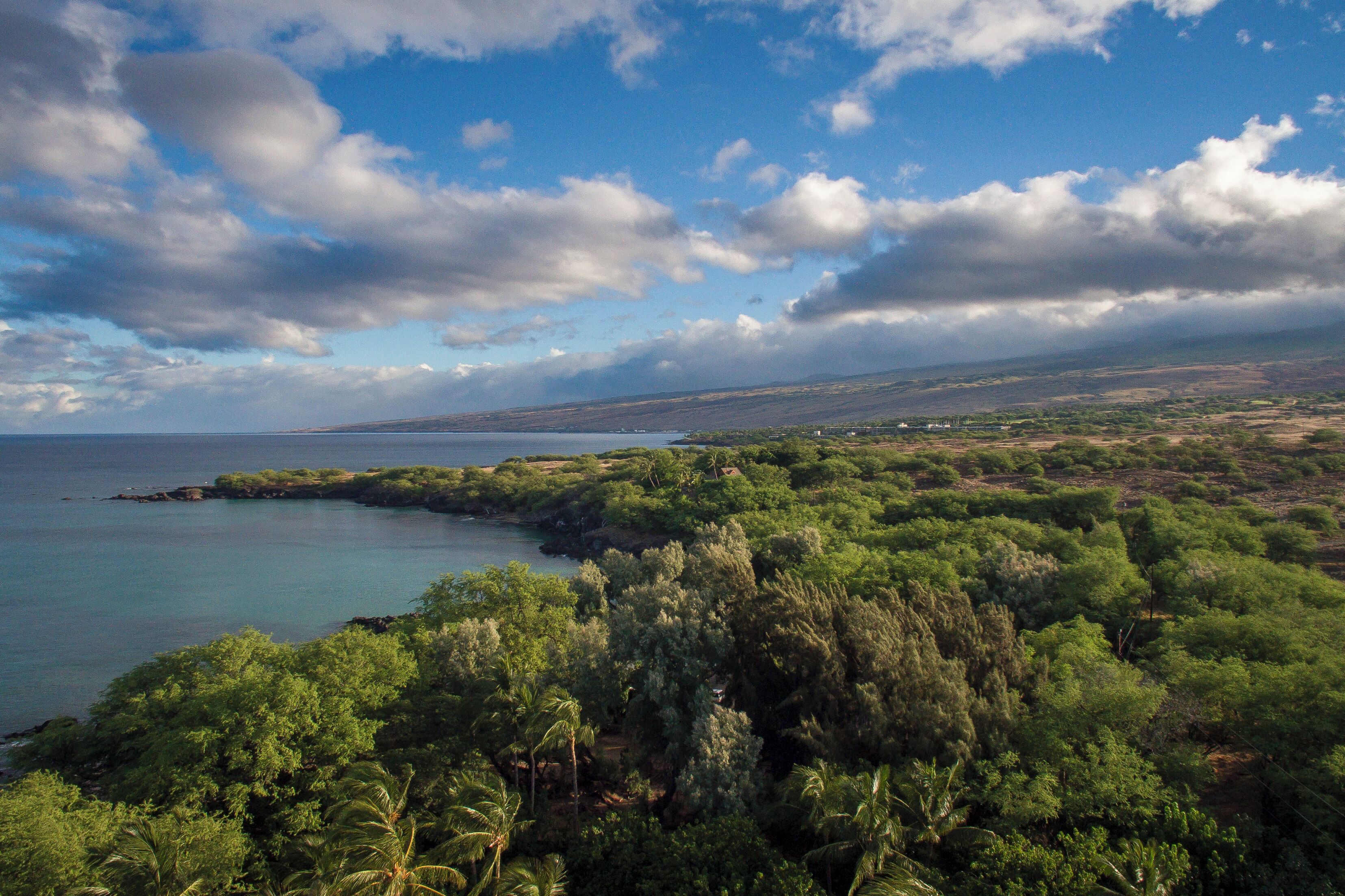 Un paisaje costero con abundante vegetación y vista al mar.