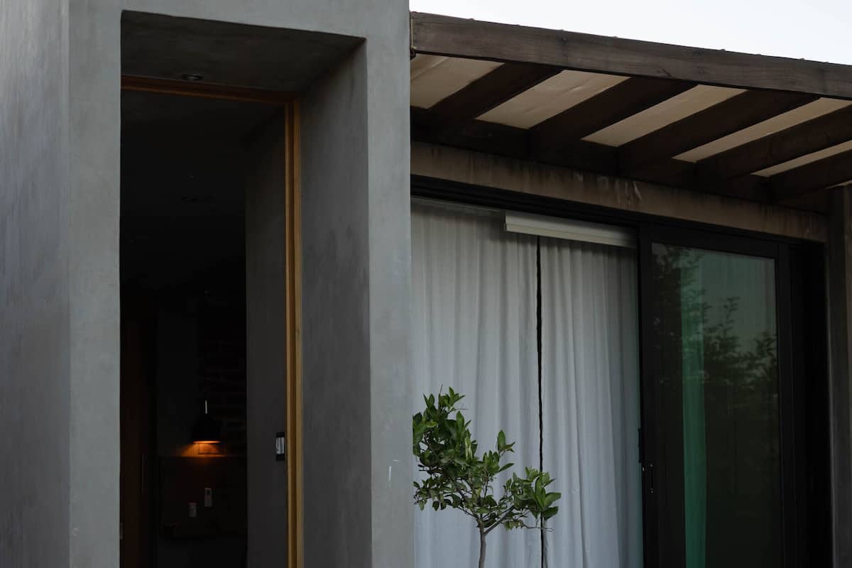 Un bâtiment moderne avec une façade en béton, une terrasse en bois et un pot de fleurs.