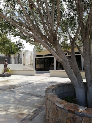 Surrounded by a natural stone wall, this serene outdoor space features a majestic tree, a modern building, and a striking statue.