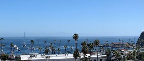 A coastal cityscape with buildings, palm trees, and boats on the water.