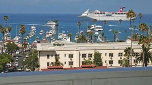 A cruise ship docked at a marina with multiple yachts and palm trees in the background.