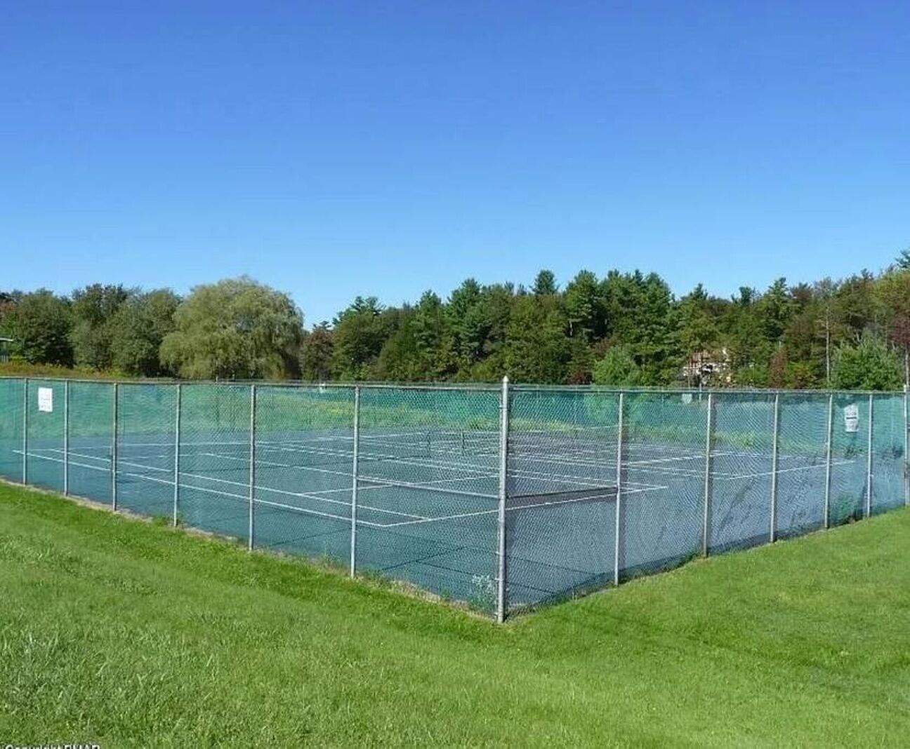Ein eingezäunter Tennisplatz mit blauem Himmel und Bäumen im Hintergrund.