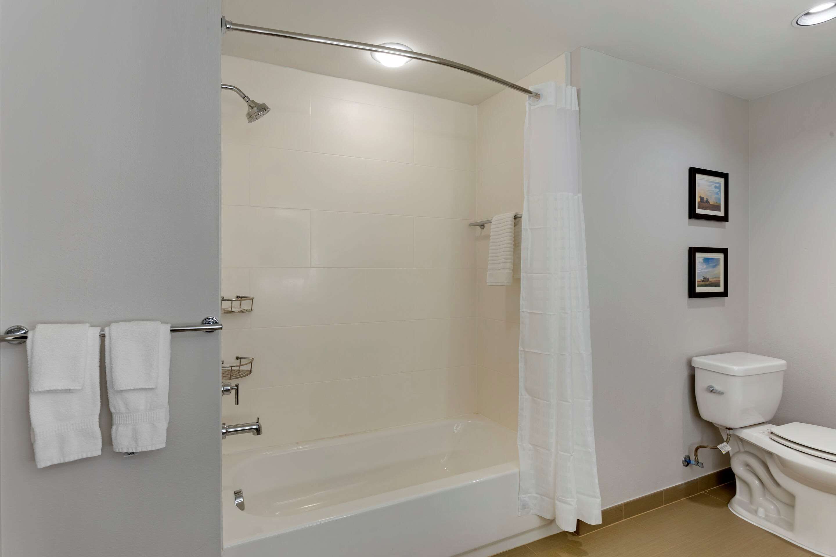 suite, 1 king bed with sofa bed, accessible, non smoking | bathroom | hair dryer, towels