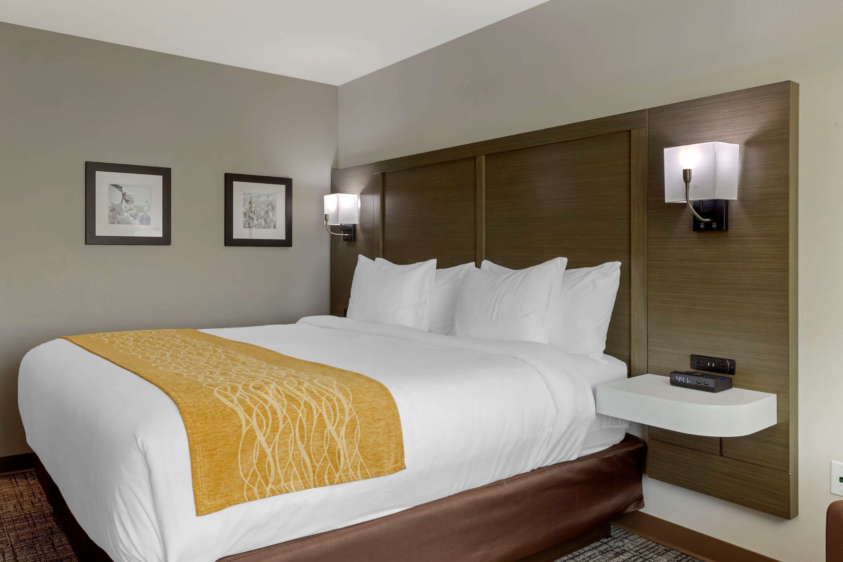 A hotel room with a large bed, a bedside table with a lamp, and two framed pictures on the wall.