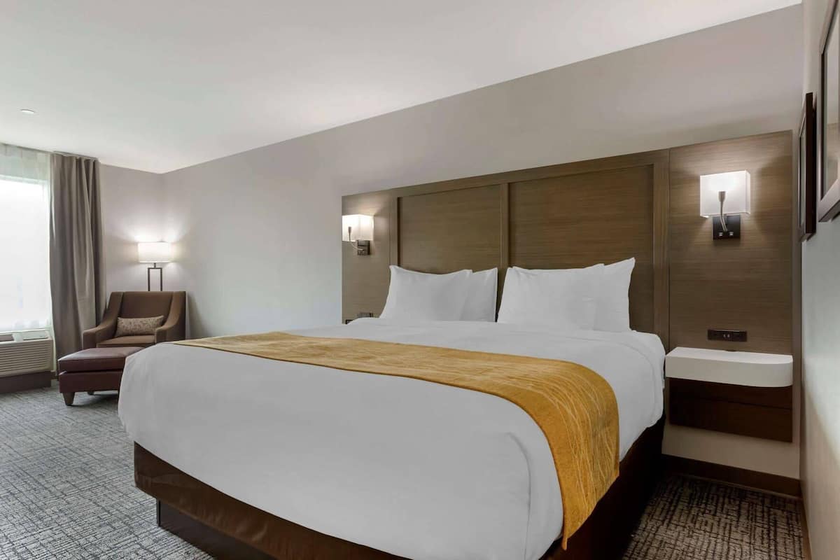 A hotel room with a large bed, a chair, a bedside table, and a wall-mounted lamp.
