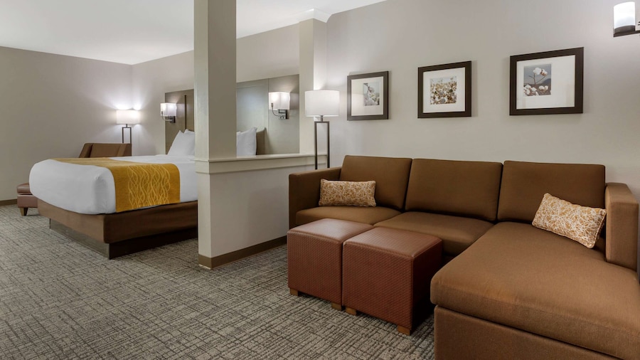 Comfort Inn Jonesboro Central