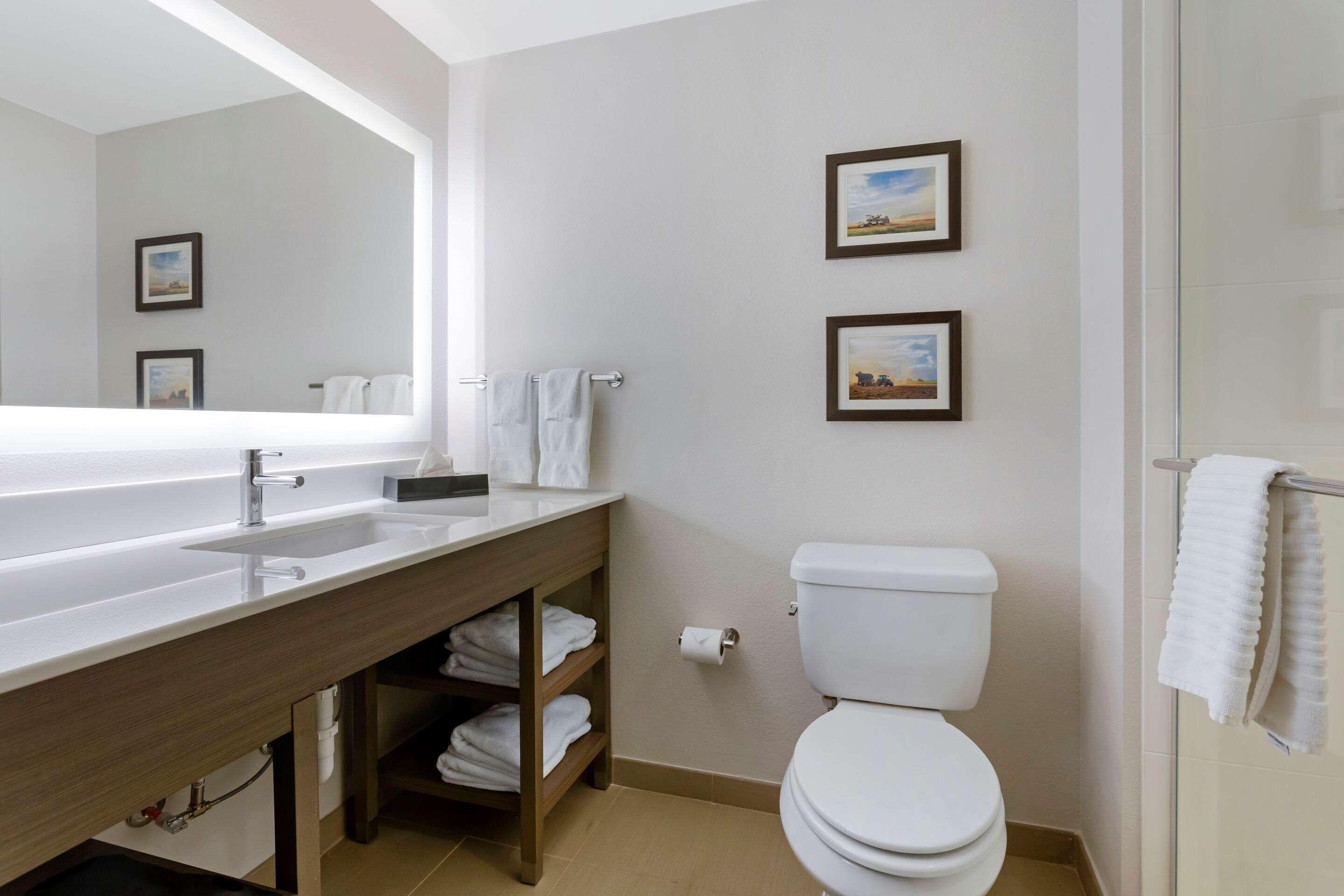 suite, 1 king bed with sofa bed, non smoking | desk, laptop workspace, iron/ironing board, free wifi