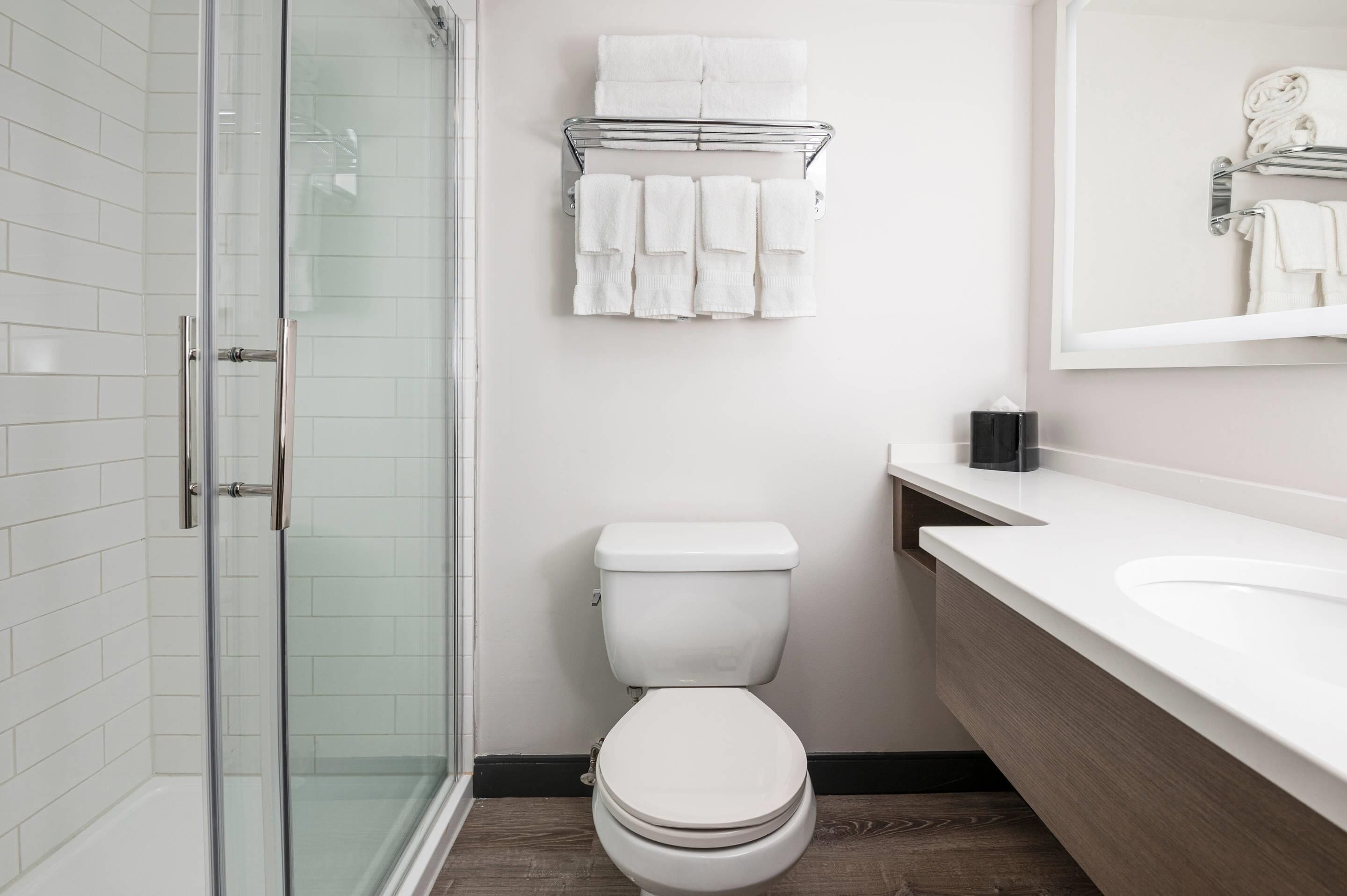 Foto - Comfort Suites Kingston Central