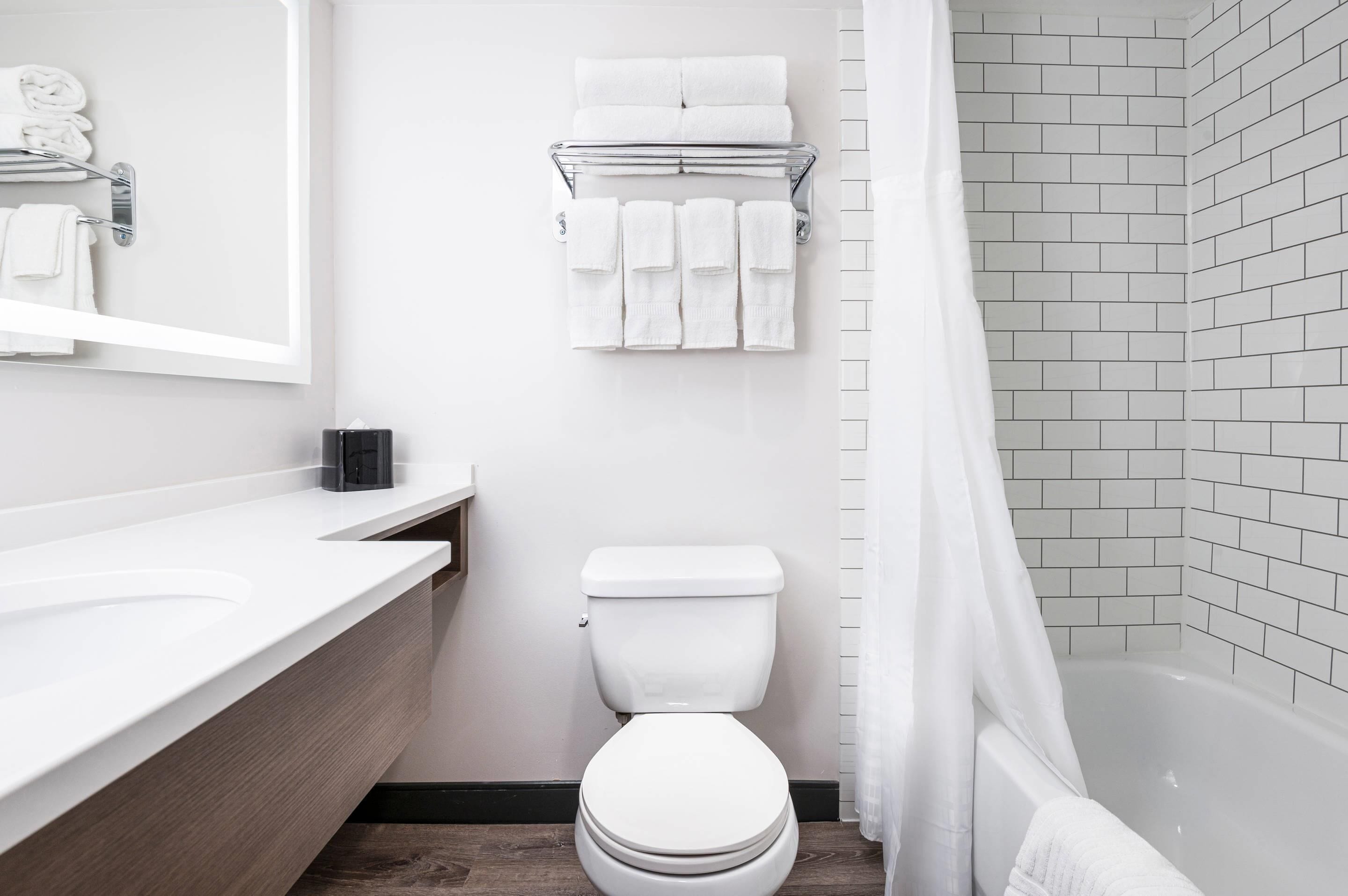 Foto - Comfort Suites Kingston Central