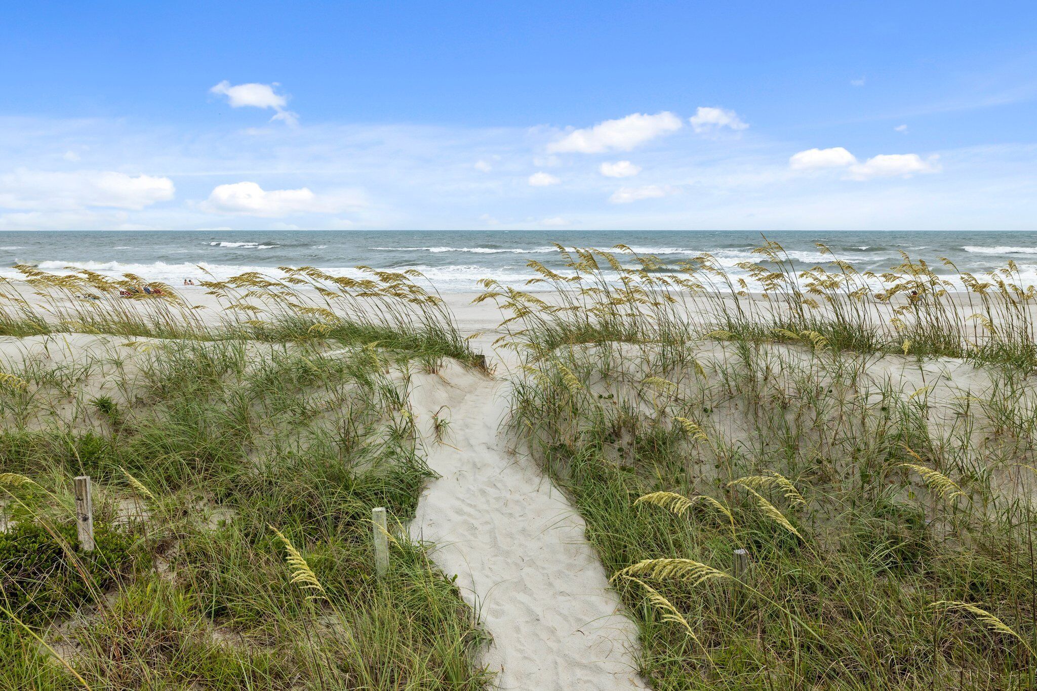 Un sentier de sable qui longe la plage et mène à l’océan, avec des dunes et de l’herbe.