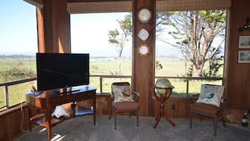 Smart TV, libros y estéreo