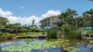 Un resort con jardín acuático, palmeras y zona de piscina.