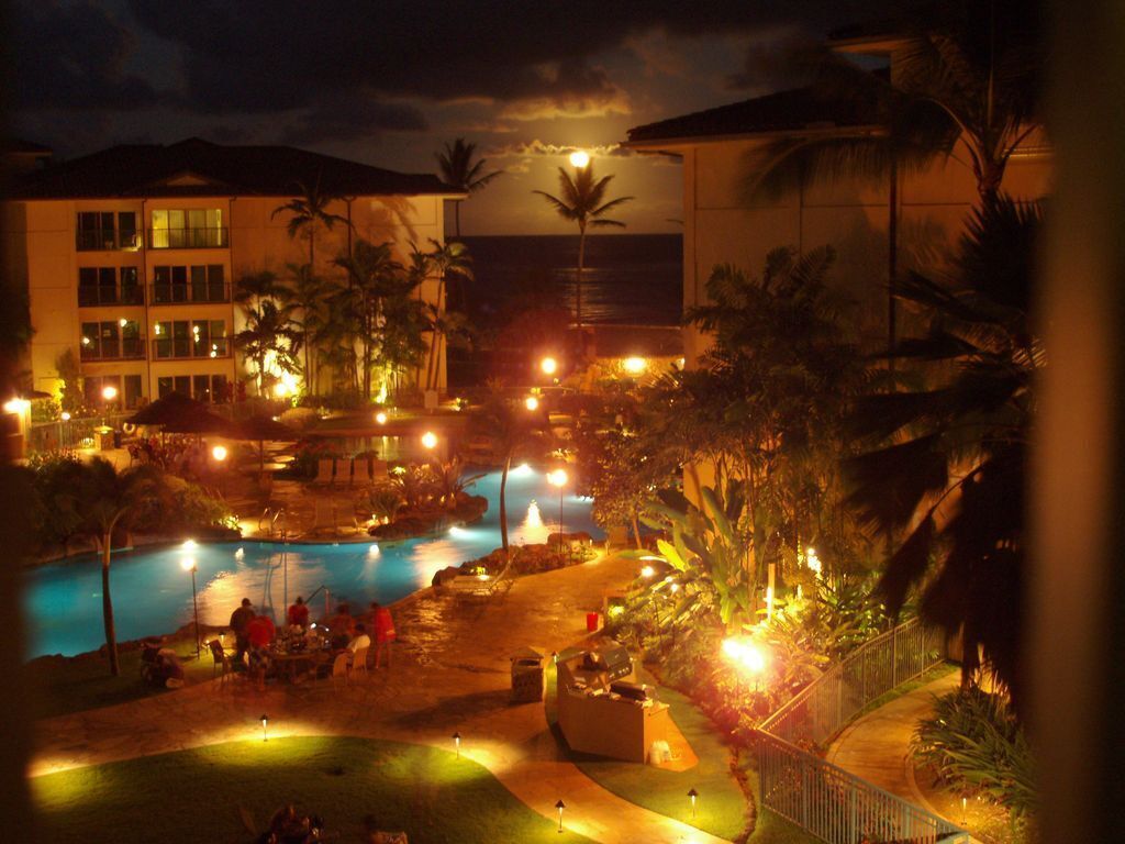 A hotel pool area at night with a large pool, palm trees, and a building with multiple floors and windows.