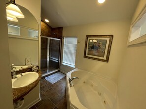 Combined shower/tub, jetted tub, hair dryer