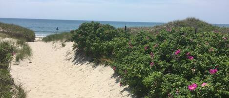 Beach nearby