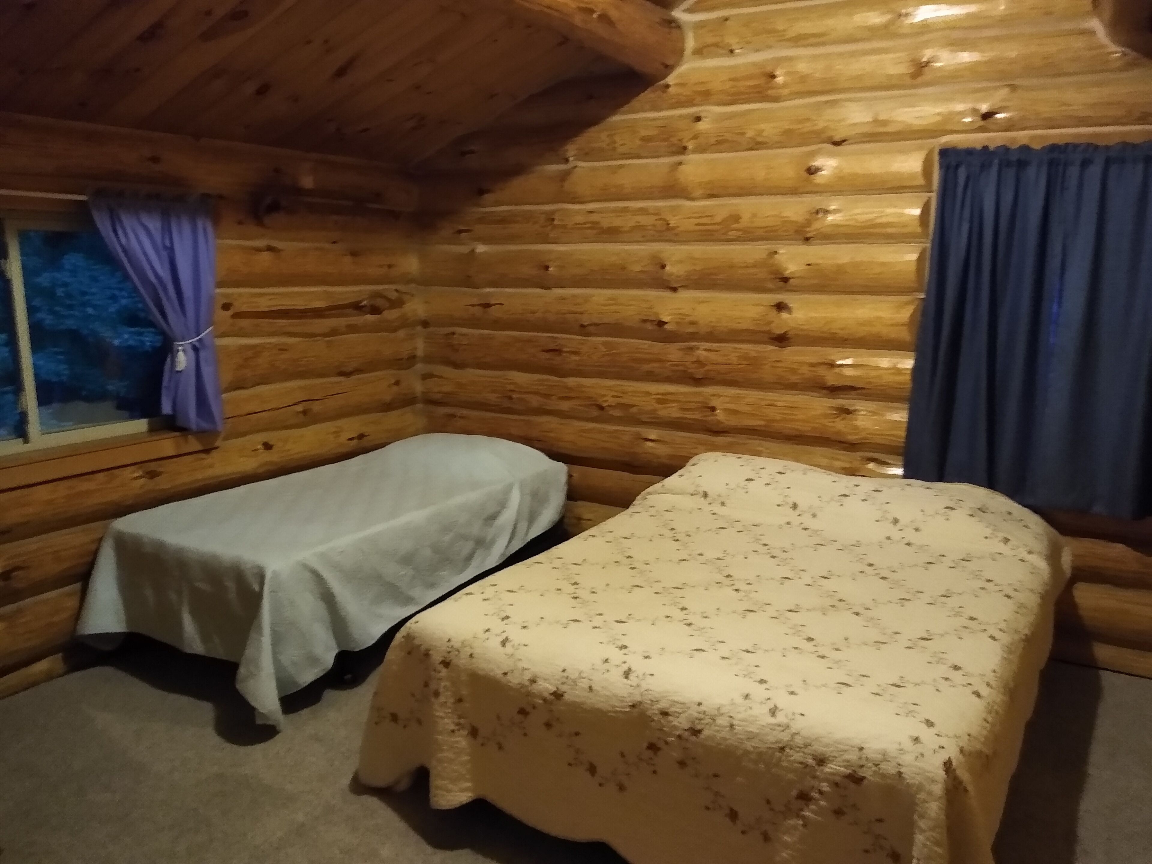A cabin room with two beds, wooden walls, a window with curtains, and a carpeted floor.