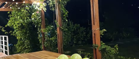 露台/庭院