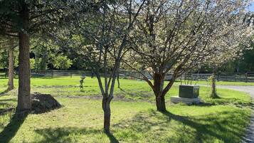 Enceinte de lâhĂ©bergement