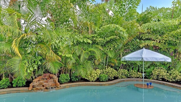Ein Swimmingpool, umgeben von üppiger Vegetation und einem weißen Sonnenschirm.