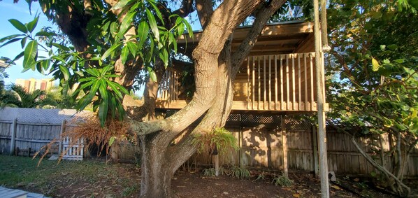 A tree with a wooden structure attached to it, possibly a treehouse or a deck, in a backyard setting.
