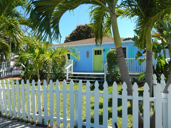 A blue house with a green door, surrounded by a white picket fence, palm trees, and a clear blue sky.