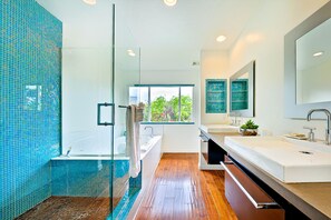 Combined shower/tub, jetted tub, hair dryer, towels
