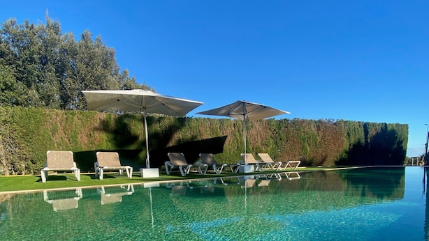Ein klares Schwimmbecken mit Liegestühlen und Sonnenschirmen, umgeben von einer Hecke und Bäumen.