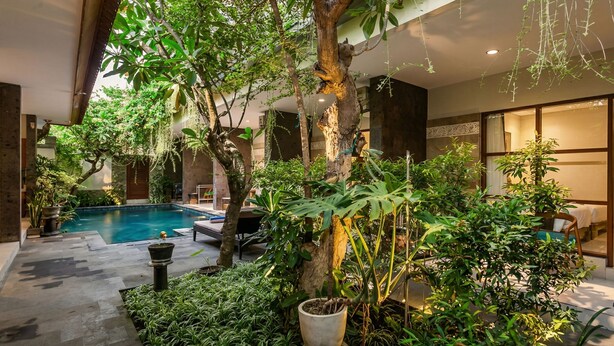 An indoor pool area with a tree and various plants. - Naksa Homestay Sanur (Denpasar)
