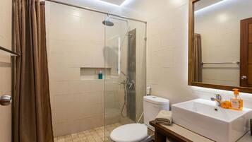 Hydromassage showerhead, hair dryer, towels, soap