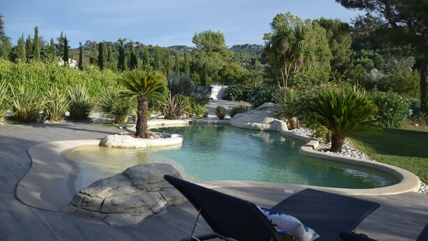Un espace piscine aménagé avec une cascade, entouré de différentes plantes et arbres.