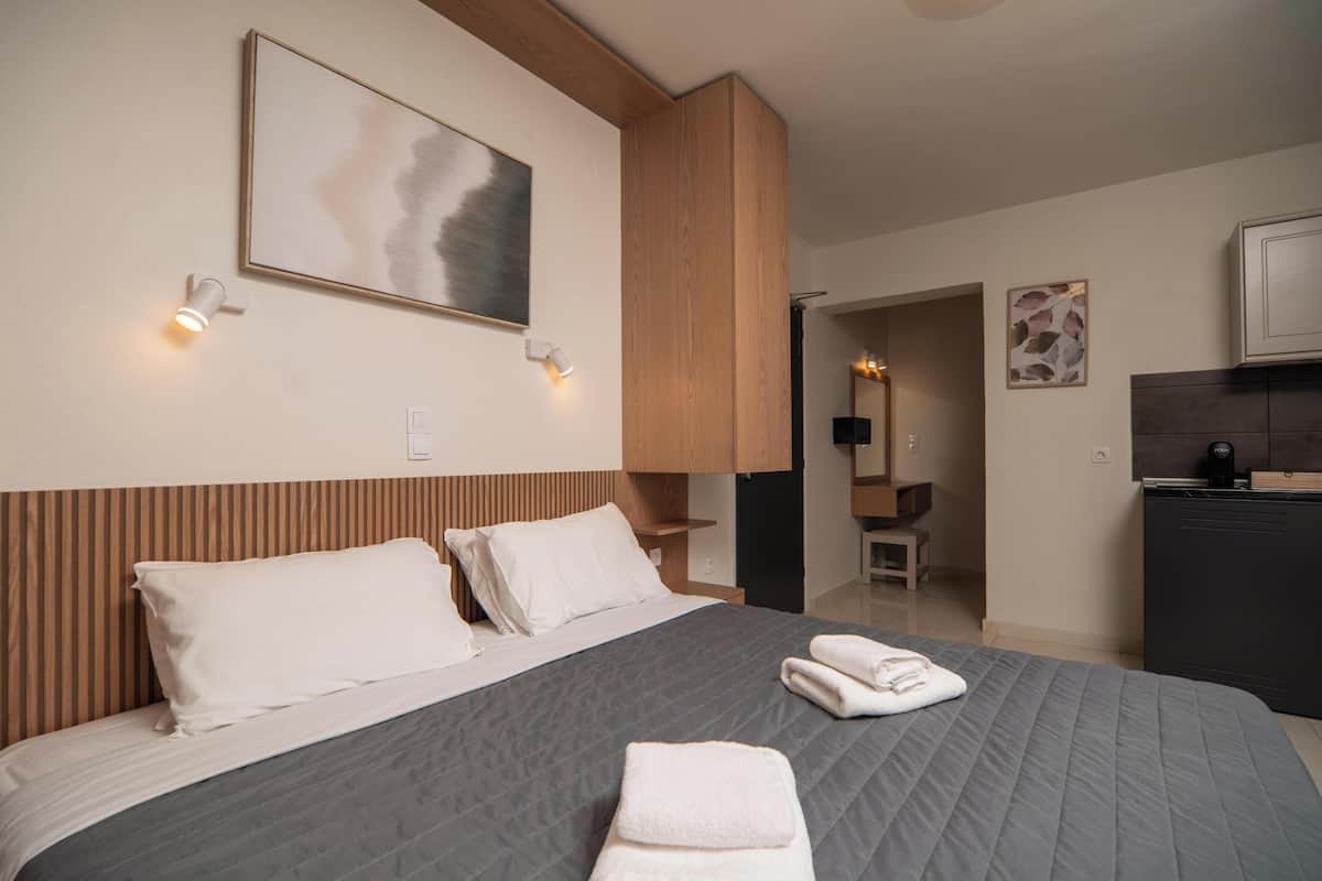 Basic Double Room | In-room safe, laptop workspace, soundproofing, iron/ironing board