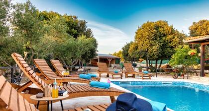 Vintage Winehouse Backov