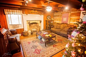 Smart TV, fireplace, books, music library