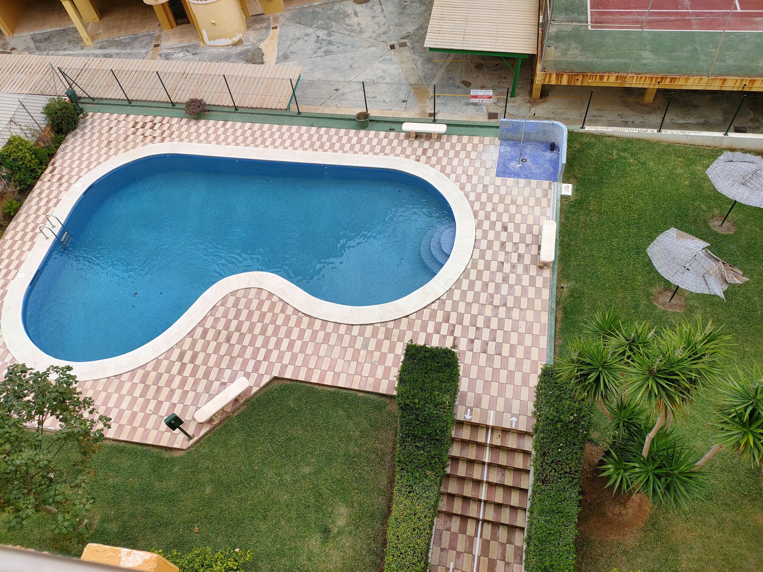 A swimming pool with a checkered tile border, surrounded by a grassy area and a few palm trees.