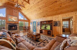 Smart TV, chimenea y reproductor de DVD
