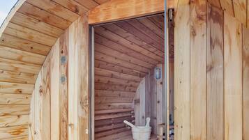 A wooden sauna with a bench and a bench seat, a wooden door, and a bench with a backrest.