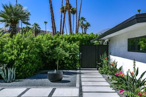 Escape to a serene oasis with lush greenery and a soothing water feature.