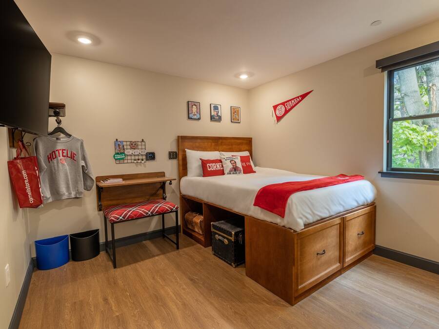 Sophomore Queen | In-room safe, desk, blackout drapes, free WiFi