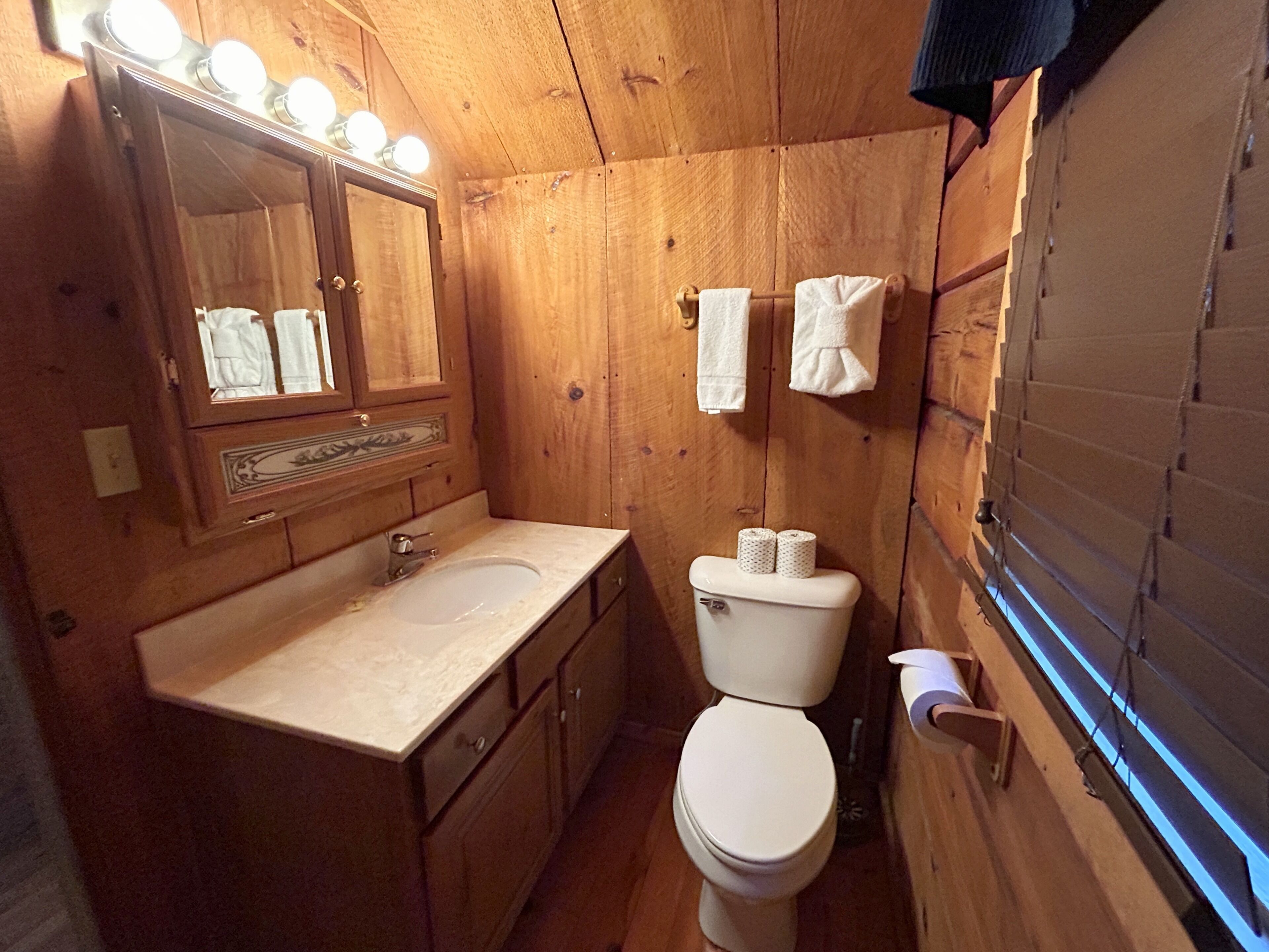 Baño de cabaña de madera con lavabo, inodoro y espejo.