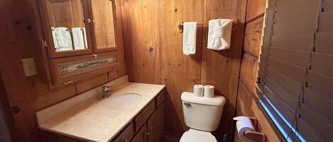 Baño de cabaña de madera con lavabo, inodoro y espejo.