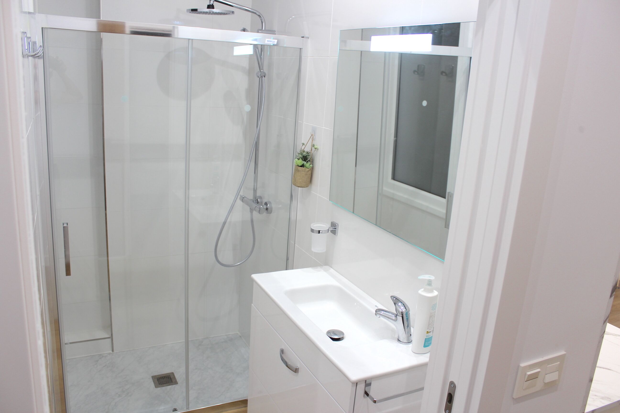 Ein modernes Badezimmer mit einer Glaskabine zur Dusche, einem weißen Waschbecken mit Spiegel darüber und einer kleinen Pflanze auf dem Waschbecken.