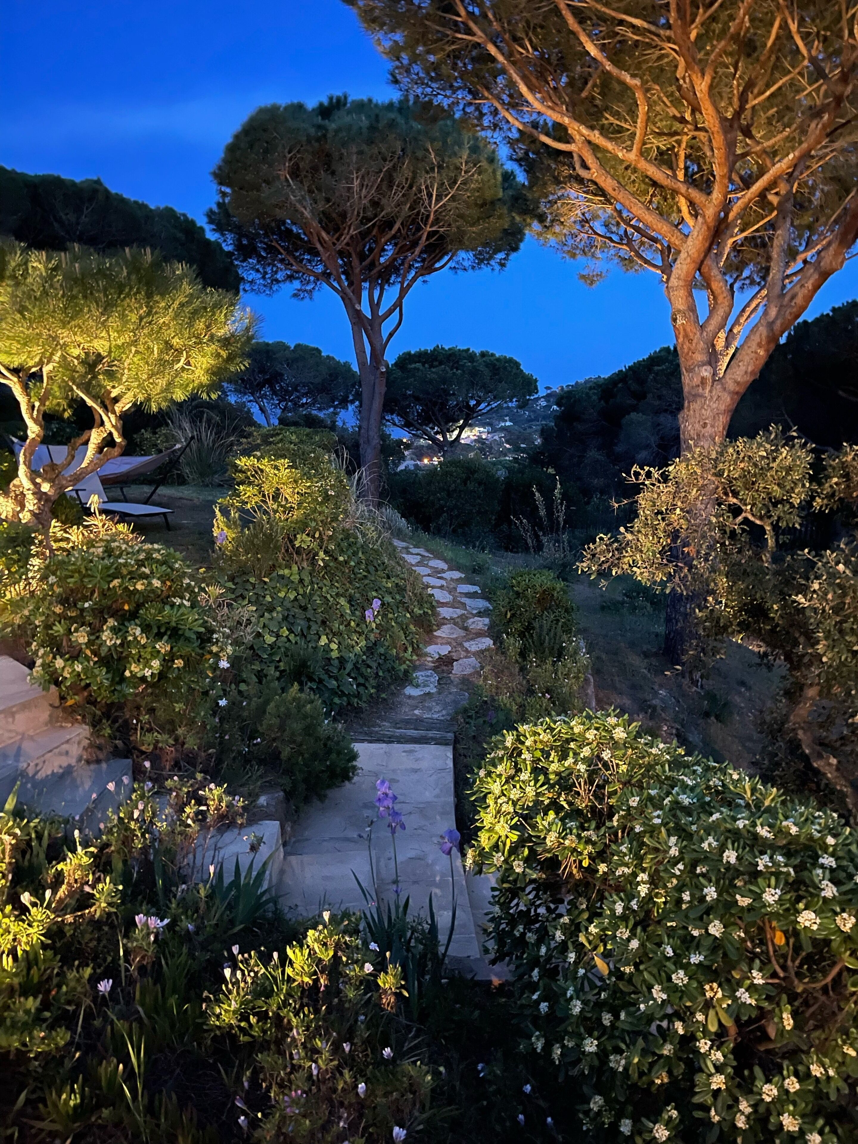 المنطقة المحيطة بالمنشأة