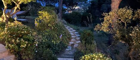 المنطقة المحيطة بالمنشأة